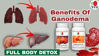 DXN Ganodema in Hindi  Health Benifits of Ganotherapy [upl. by Kathryne660]