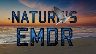 Natures EMDR OCEAN WAVES [upl. by Alikat]