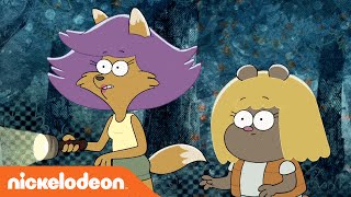 Harvey Beaks  Littlebark Weather Report  Nick [upl. by Georgeta]