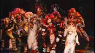 CATS The Musical  National Tour [upl. by Worthington]