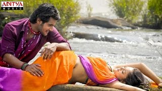 Ninnu Chusina Video Song  Lovely Video Songs  Aadhi Shanvi [upl. by Four175]