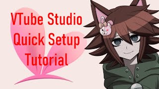 VTube Studio Quick Setup Tutorial [upl. by Llerud351]