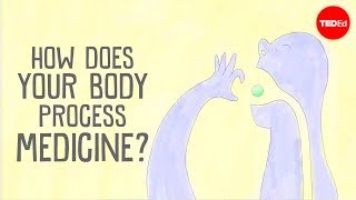 How does your body process medicine  Céline Valéry [upl. by Jadd]