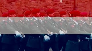 Het Wilhelmus Anthem of the Kingdom of the Netherlands Patriotic Version [upl. by Aylsworth383]