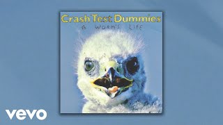 Crash Test Dummies  Overachievers Official Audio [upl. by Jenifer574]