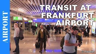 TRANSIT WALK AT FRANKFURT Airport FRA Terminal 1  Connection Flight Transfer Arriving amp Departing [upl. by Kciredor873]