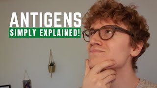 Antigens Simply Explained [upl. by Ised]