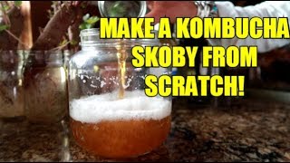 HOW TO MAKE YOUR OWN KOMBUCHA SCOBY EASY [upl. by Sucramd128]