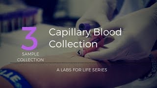 Capillary Blood Collection [upl. by Malloy]