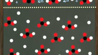 Chemistry ReviewCarbonate Bicarbonate Buffer System [upl. by Massey]