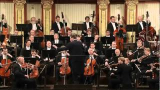 Beethoven Sinfonia 5 [upl. by Borek]