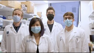 The MDPhD Program at Mount Sinai [upl. by Yramanna861]