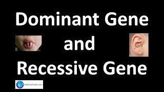 Dominant Gene and Recessive Gene  Genetics  Science [upl. by Groark]