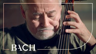 Bach  Cello Suite no 5 in C minor BWV 1011  Suzuki  Netherlands Bach Society [upl. by Rochemont]