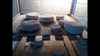 Comment faire ses petits fromages à la maison [upl. by Keeryt]