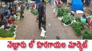 Nellore Vegetable market at VRC Center [upl. by Brunhilde]