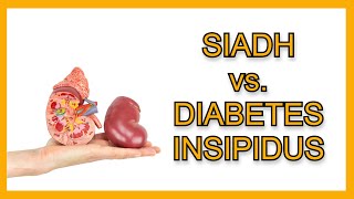 SIADH vs Diabetes Insipidus [upl. by Phaih]